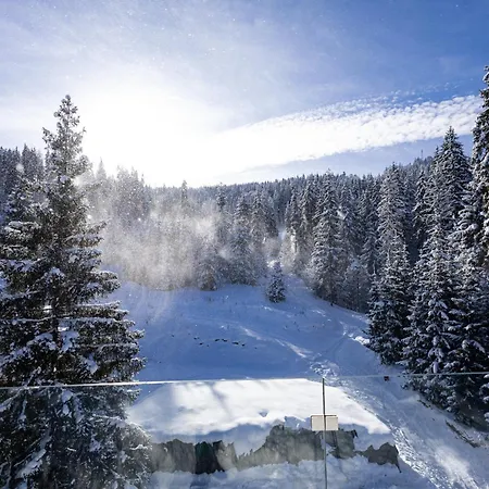 Bukville & Bukovel